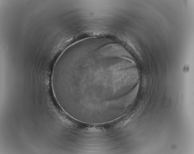 X0000090930545200708131456