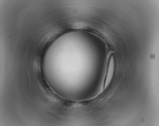 X0000090930547200708131456