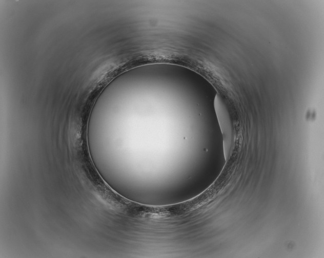 X0000090930548200708131456