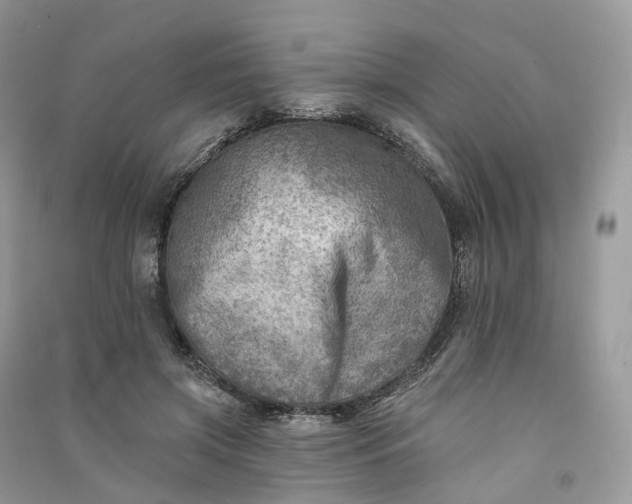 X0000090930549200708131456