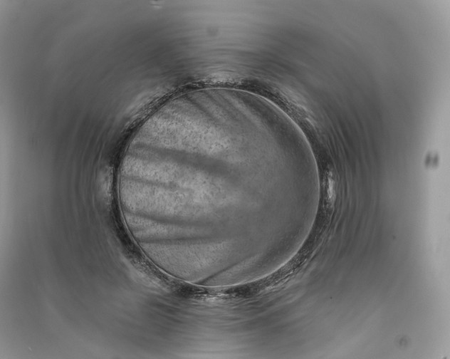 X0000090930550200708131456