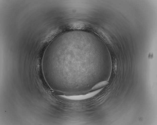 X0000090930551200708131456