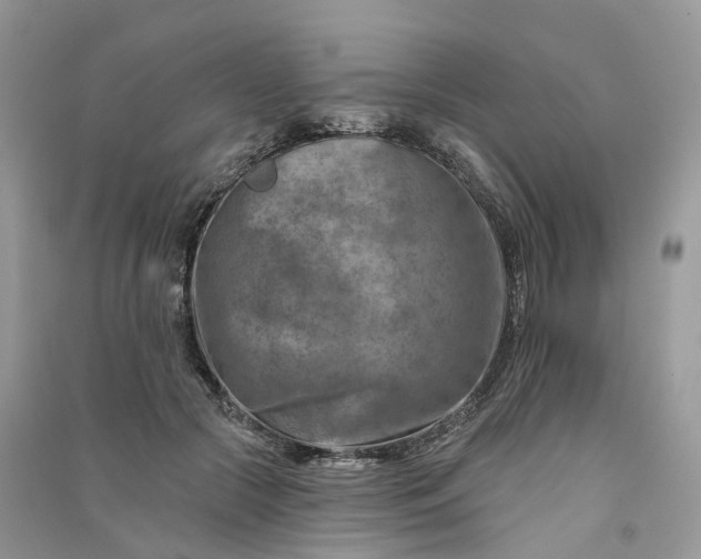 X0000090930553200708131456