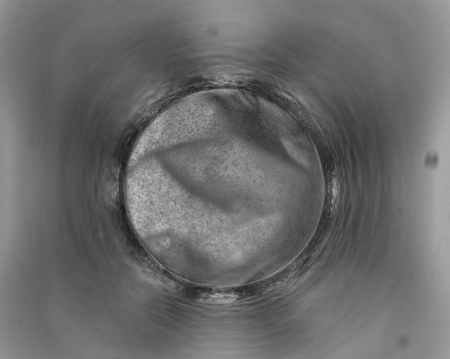 X0000090930554200708131456