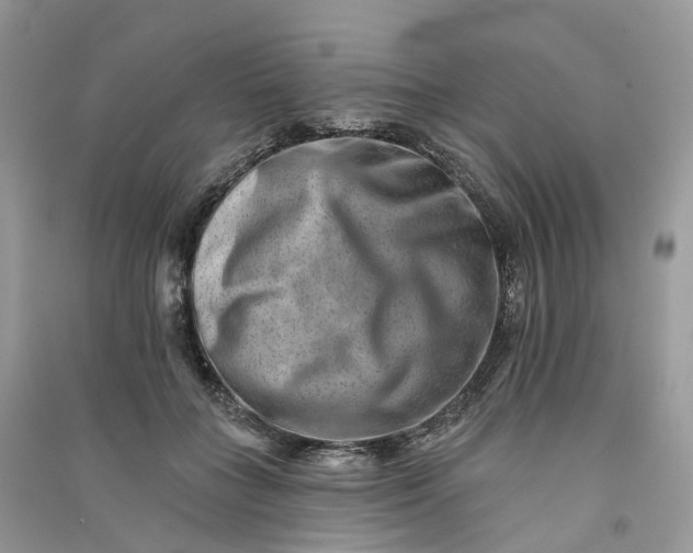 X0000090930555200708131456