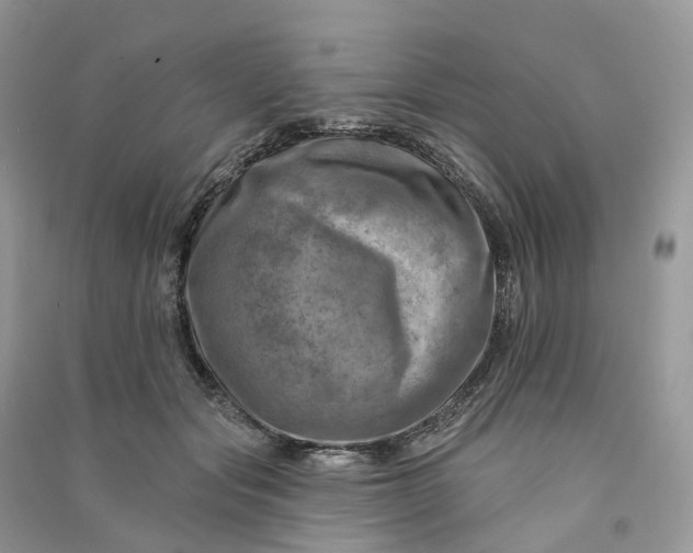 X0000090930557200708131456