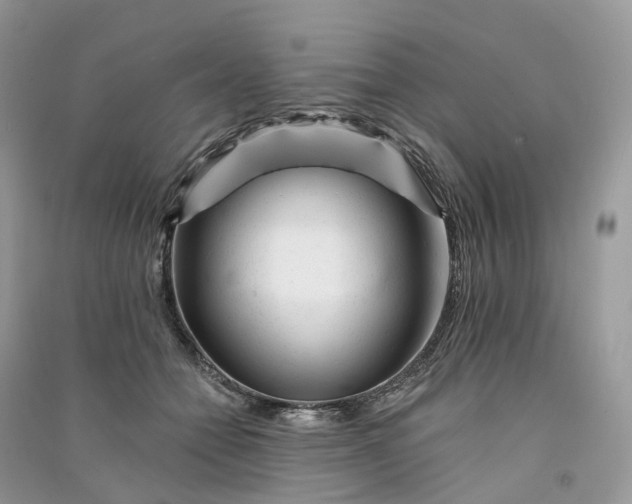 X0000090930558200708131456