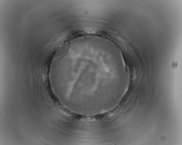 X0000090930559200708131456