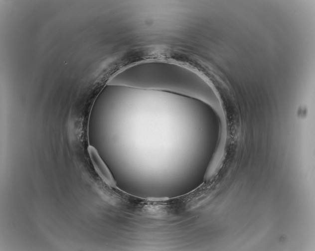 X0000090930560200708131456