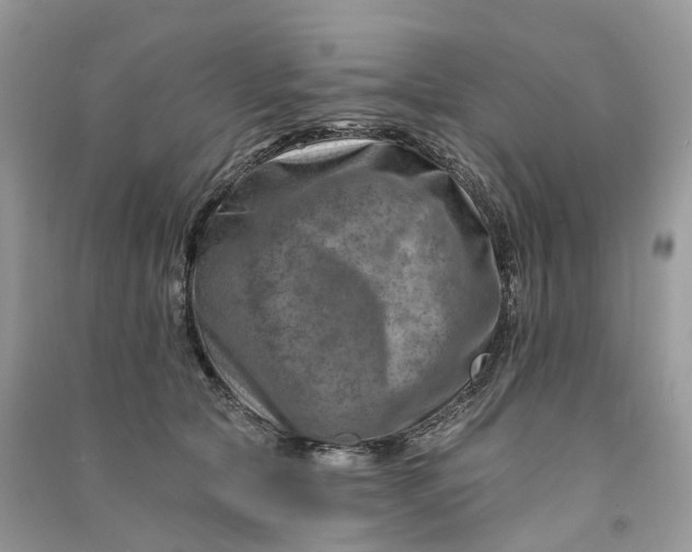 X0000090930561200708131456