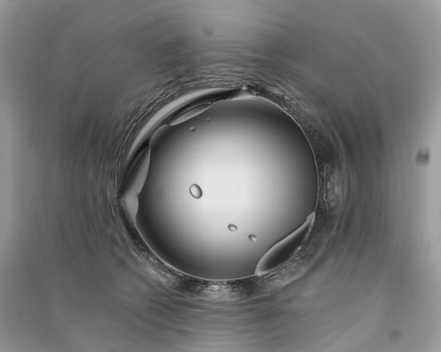 X0000090930562200708131456