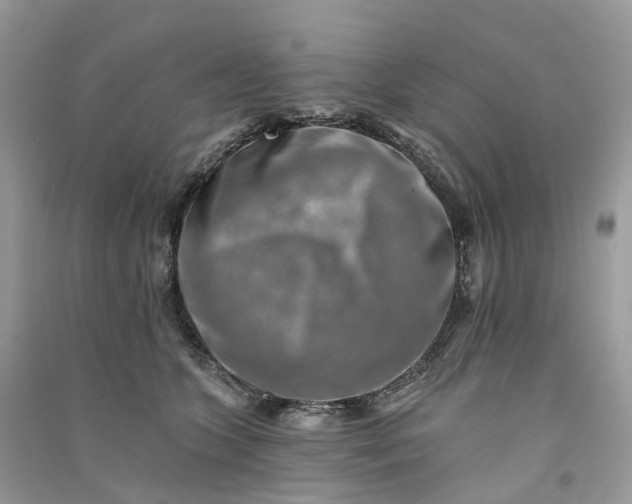 X0000090930563200708131456