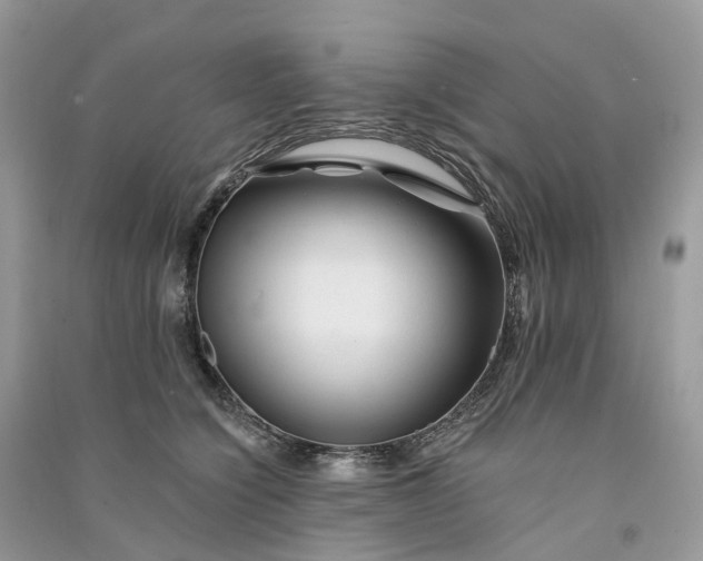 X0000090930564200708131456