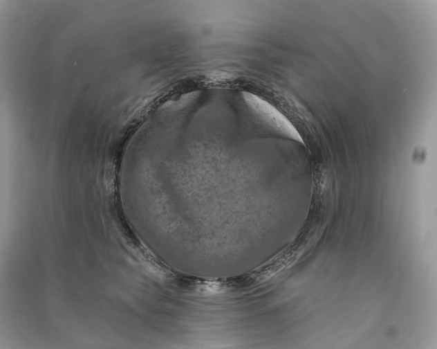 X0000090930565200708131456