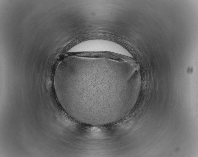 X0000090930566200708131456