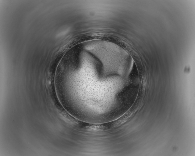 X0000090930567200708131456