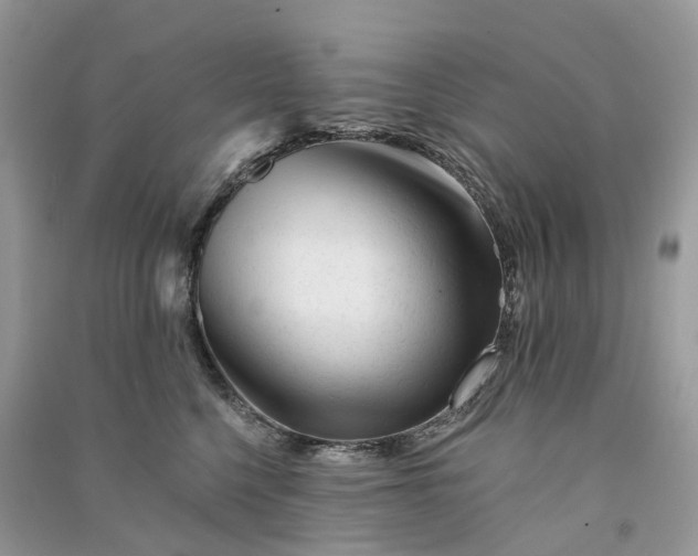 X0000090930568200708131456