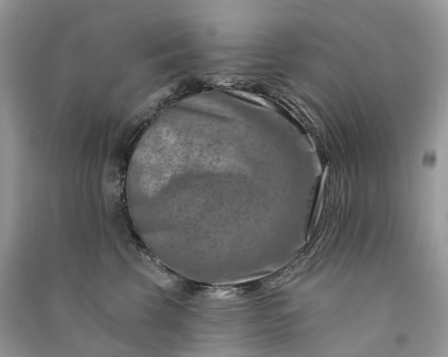 X0000090930569200708131456