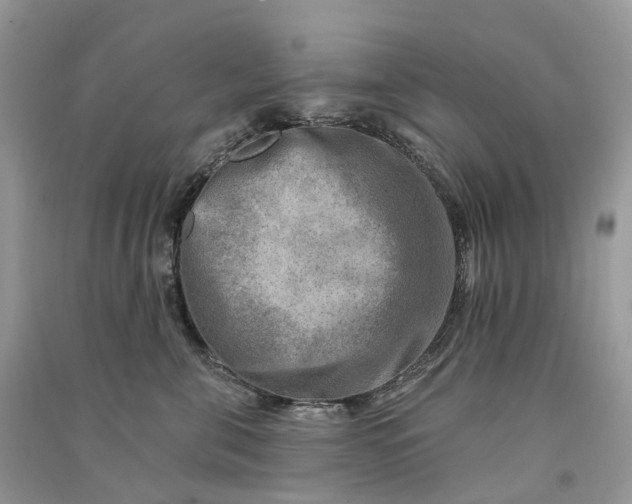 X0000090930571200708131456