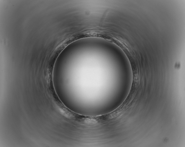 X0000090930572200708131456