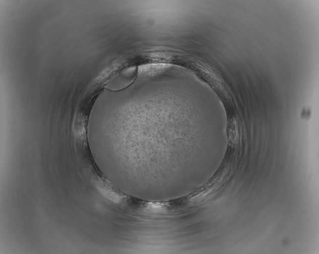 X0000090930573200708131456