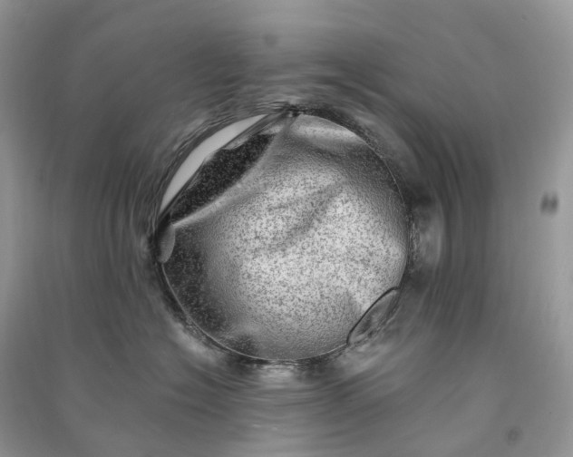 X0000090930574200708131456