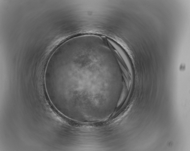 X0000090930577200708131455