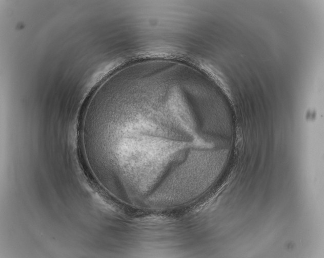 X0000090930578200708131455