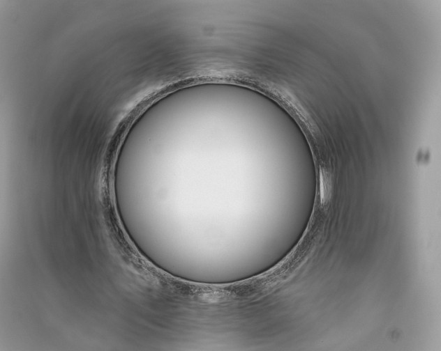 X0000090930579200708131455