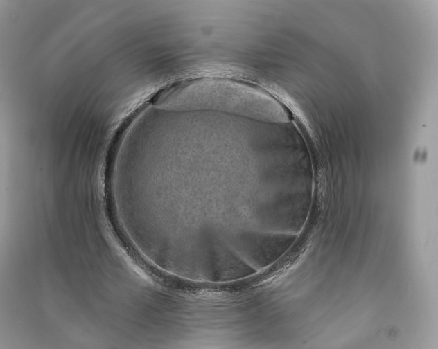 X0000090930581200708131455