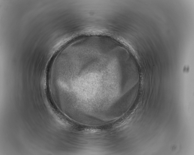 X0000090930582200708131455