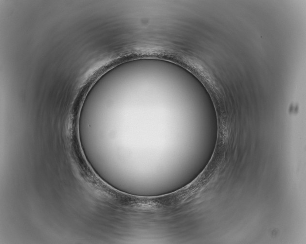 X0000090930583200708131455