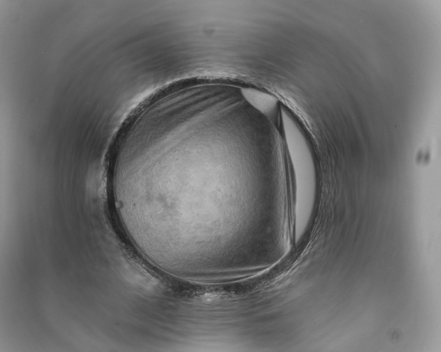 X0000090930584200708131455