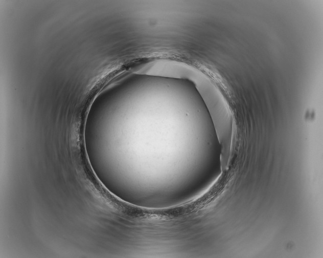 X0000090930585200708131455