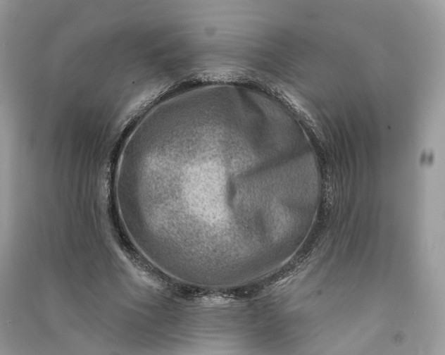 X0000090930586200708131455