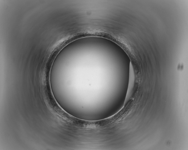 X0000090930587200708131455