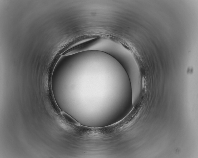 X0000090930589200708131455