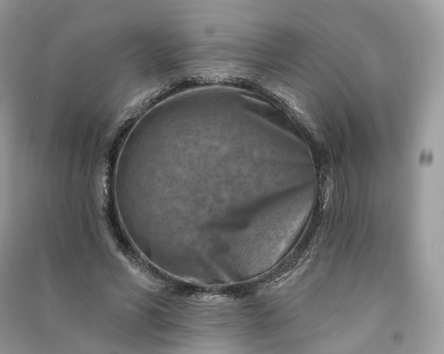 X0000090930590200708131455