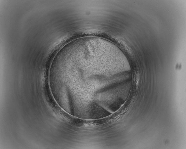 X0000090930591200708131455