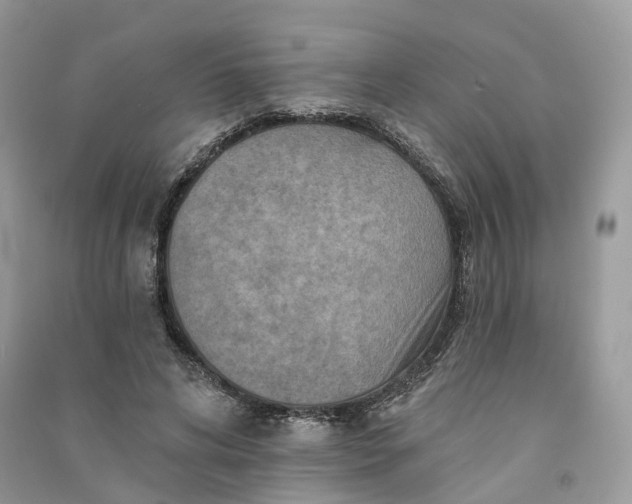 X0000090930592200708131455