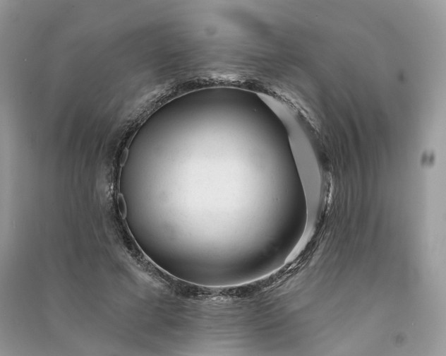 X0000090930593200708131455