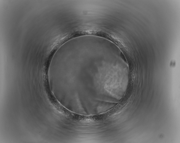 X0000090930594200708131455