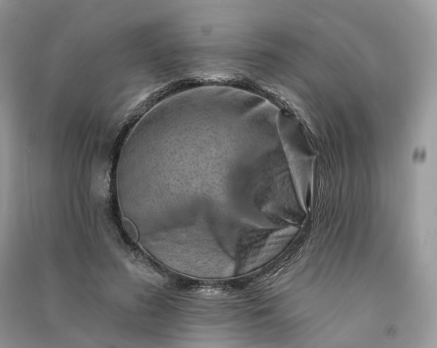 X0000090930596200708131455