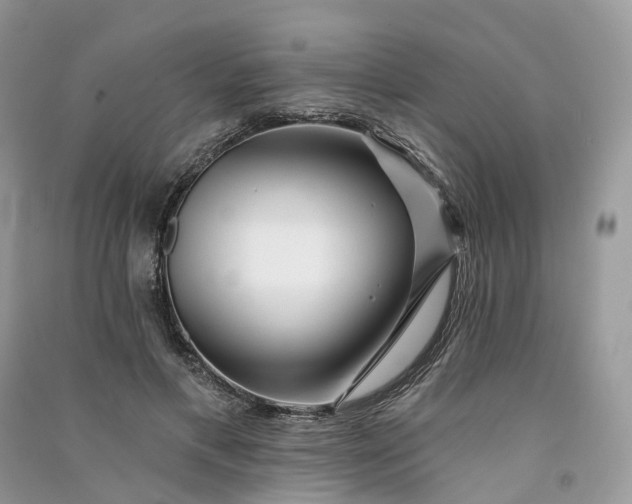 X0000090930597200708131455