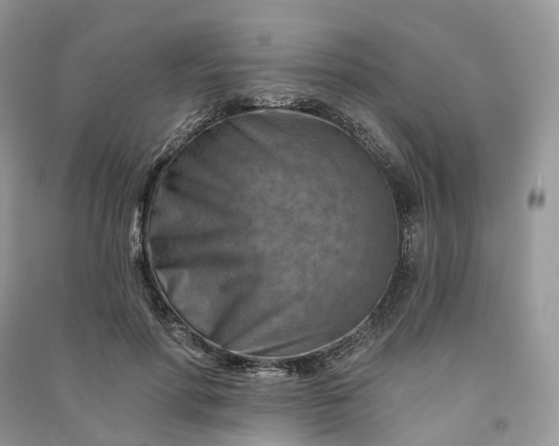 X0000090930598200708131455