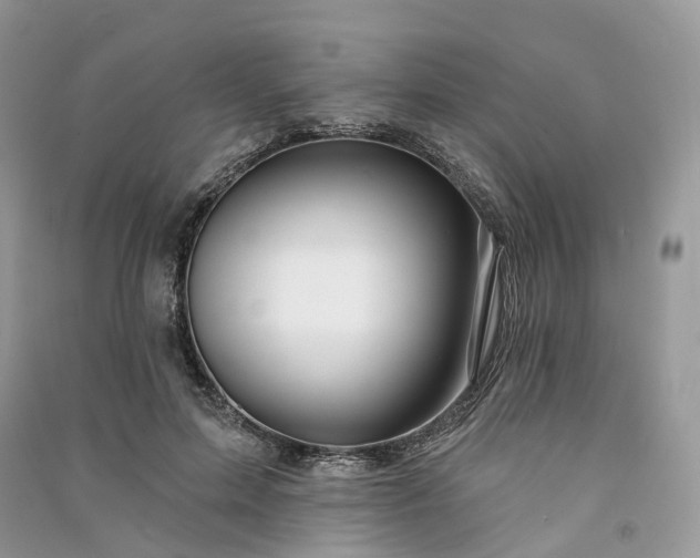 X0000090930599200708131455