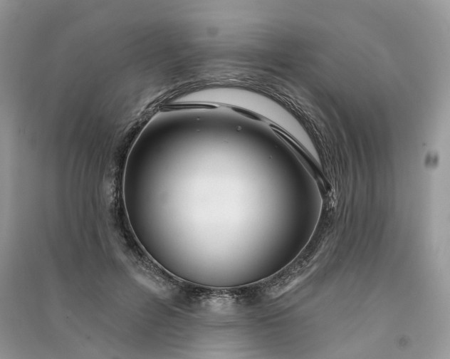 X0000090930600200708131455