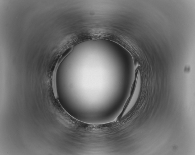 X0000090930601200708131455