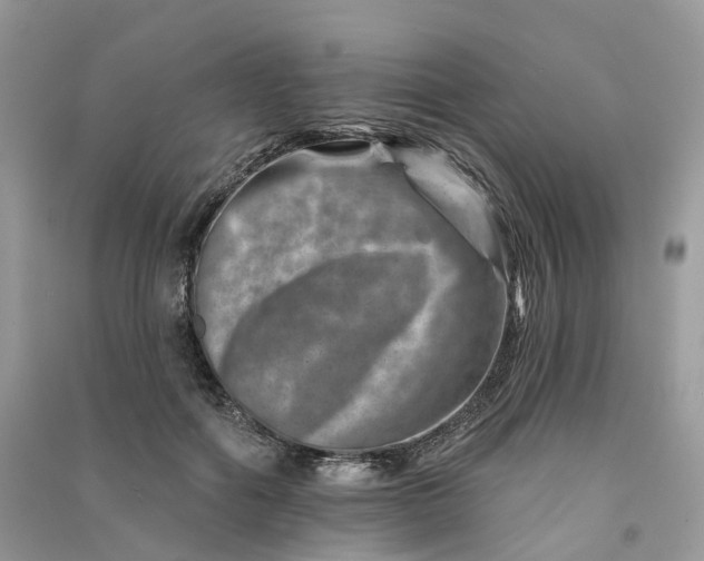 X0000090930602200708131455