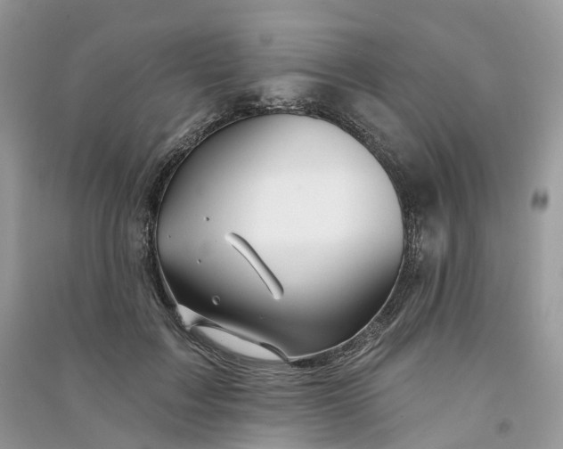 X0000090930603200708131455